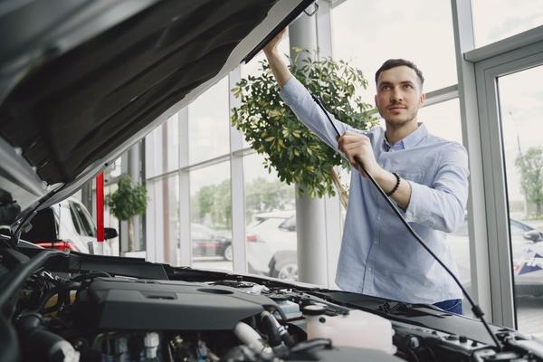 how to check used car title status